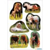 schattige paarden fotos als stickers van decor