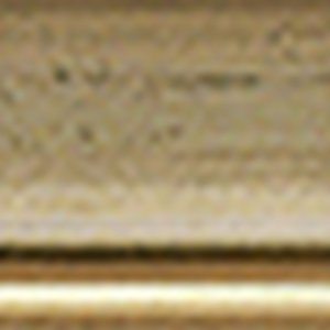 Ascot houten lijst 10x15 cm goud