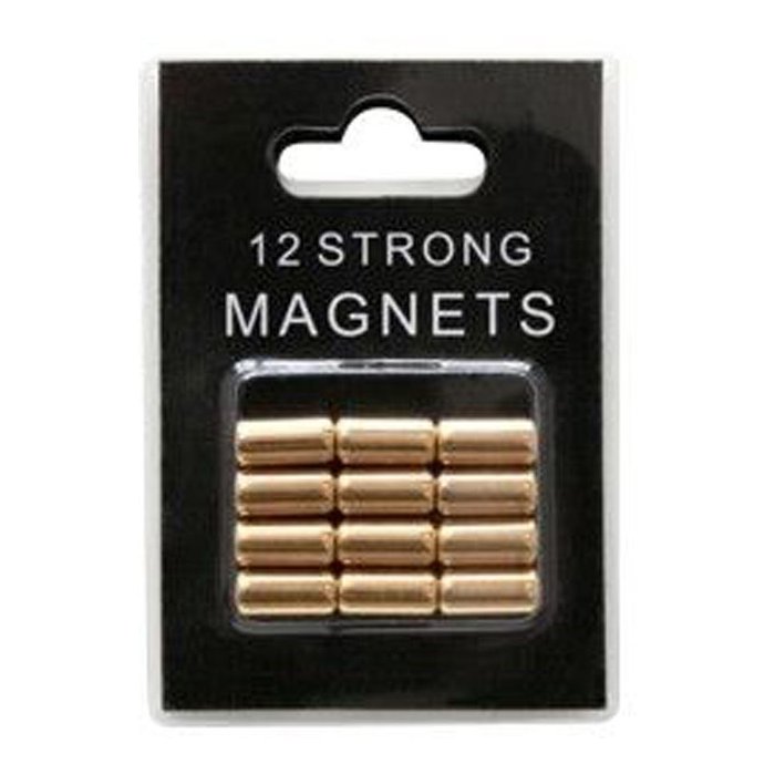 12 Super Magneten Deknudt goud