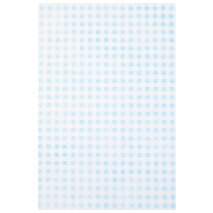 Papier 70x100 cm vlies Vichy blauw