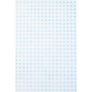 Papier 70x100 cm vlies Vichy blauw