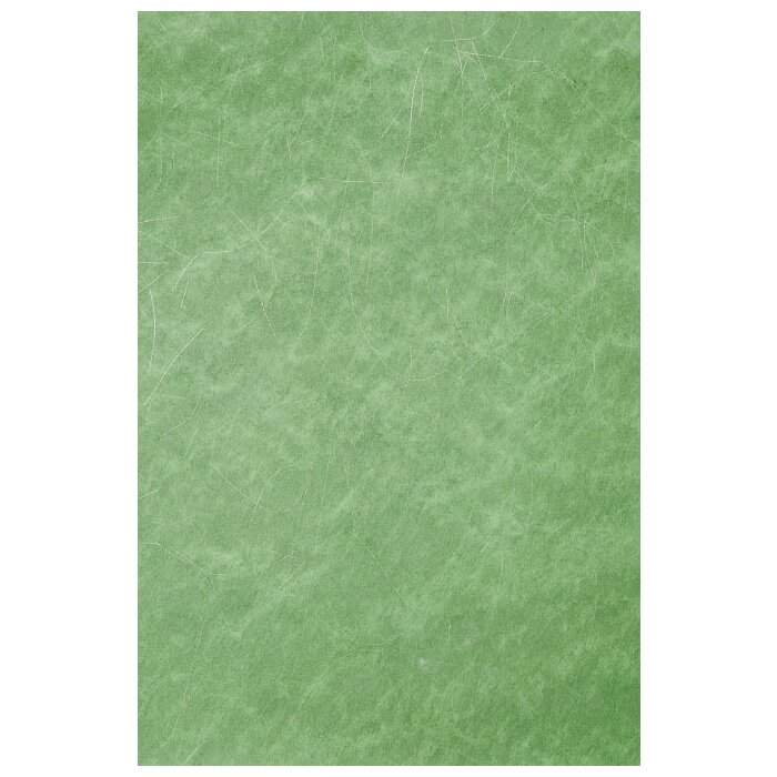 Papier 70x100 cm Vlies Zilverdraad Groen