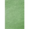 Papier 70x100 cm Vlies Zilverdraad Groen
