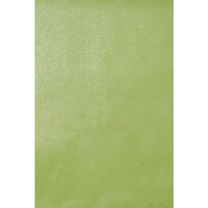 Papier 70x100 cm glitter papier groen