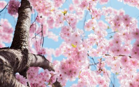 Lente foto's